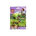 Immagine di Le herisson et sa cachette S2, Lego Friends Lego  4 ans 